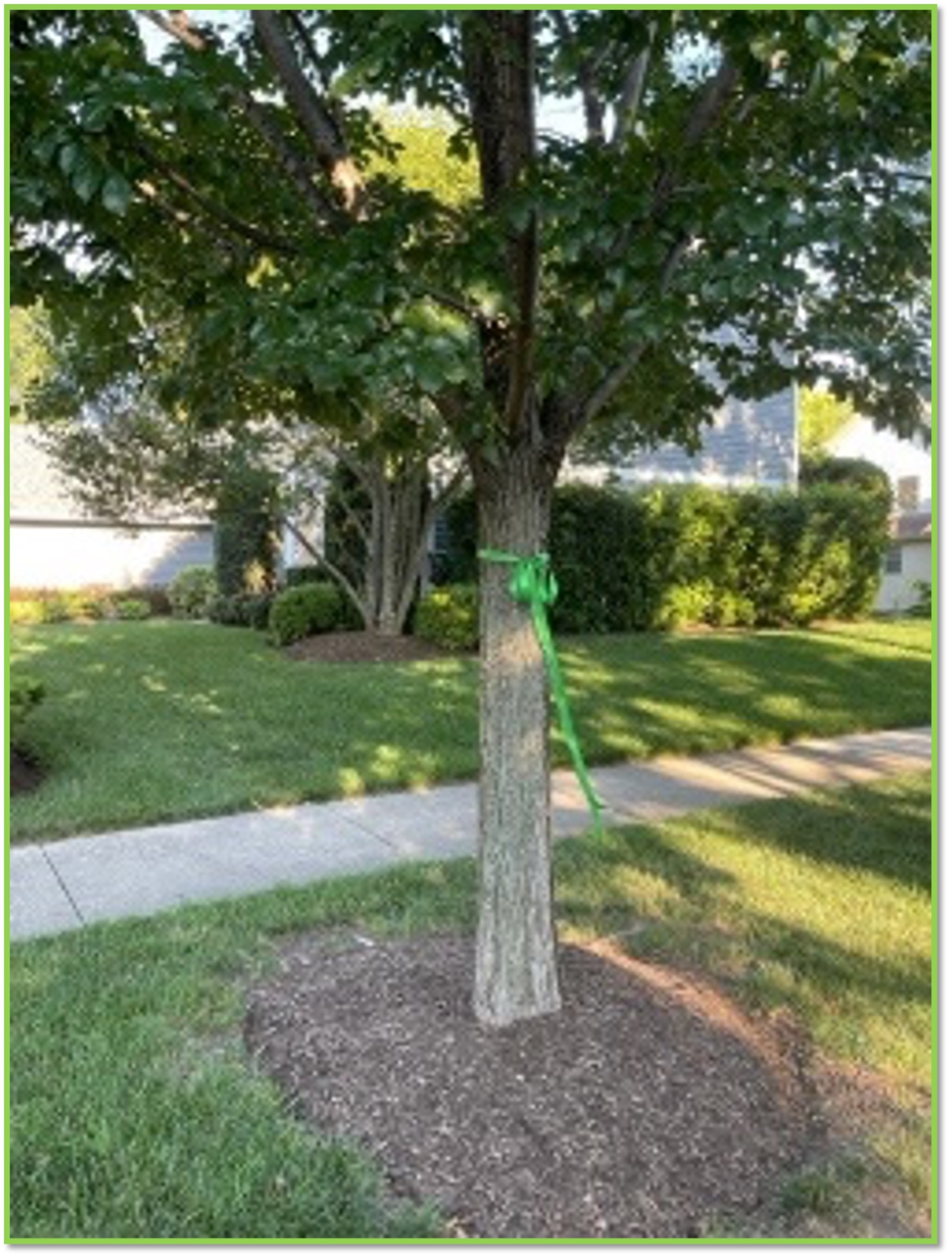 MSM Q2 2022 Community Outreach - Multimedia Sales & Marketing